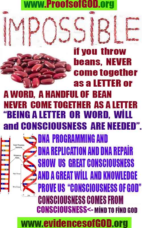 god,proofs, god-proofs, proofs-god, proofs of god, evidences of god, evidences-god, signs of god, signs-god, god exists proofs, god is real proofs