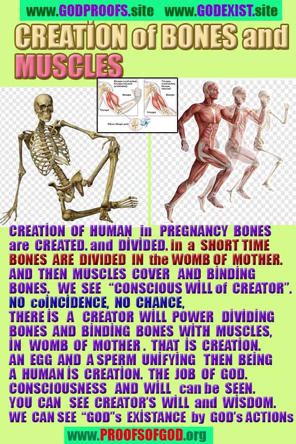 allah, allah, god,proofs, god-proofs, proofs-god, proofs of god, evidences of god, evidences-god, signs of god, signs-god, god exists proofs, god is real proofs