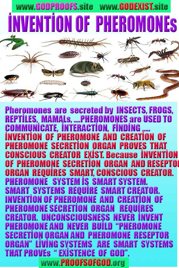 allah, god,proofs, god-proofs, proofs-god, proofs of god, evidences of god, evidences-god, signs of god, signs-god, god exists proofs, god is real proofs